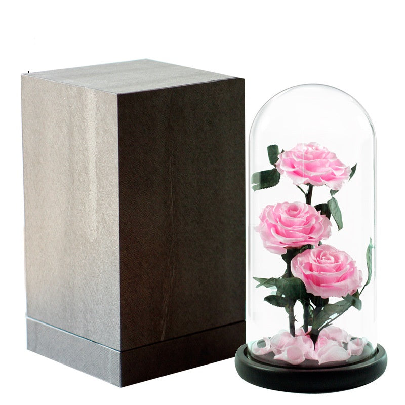 Double Preserved Flower Rose Valentine's Day Gift CJD