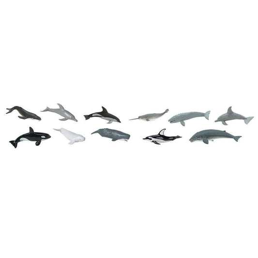 Whales and Dolphins Bulk Bag-1