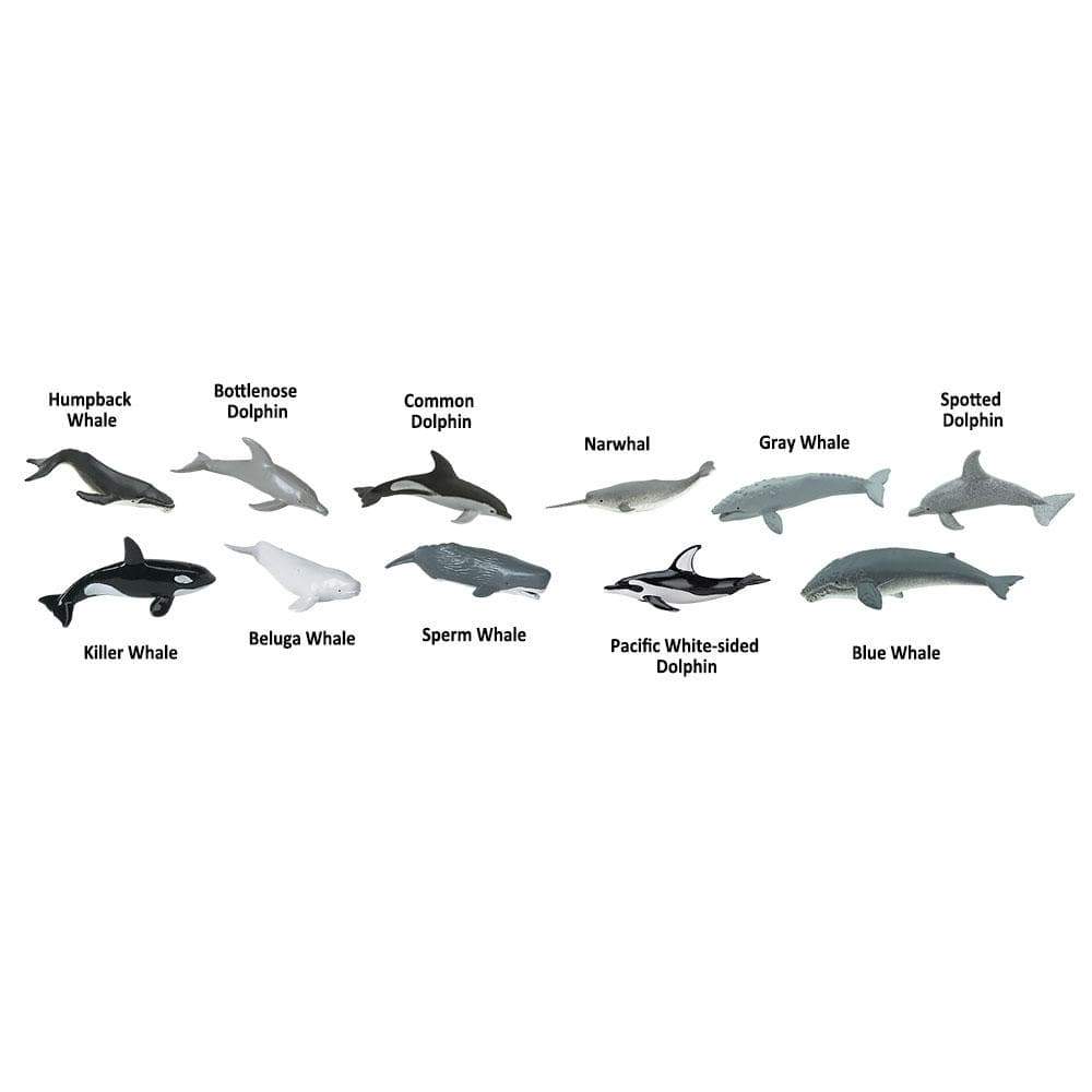 Whales and Dolphins Bulk Bag-2