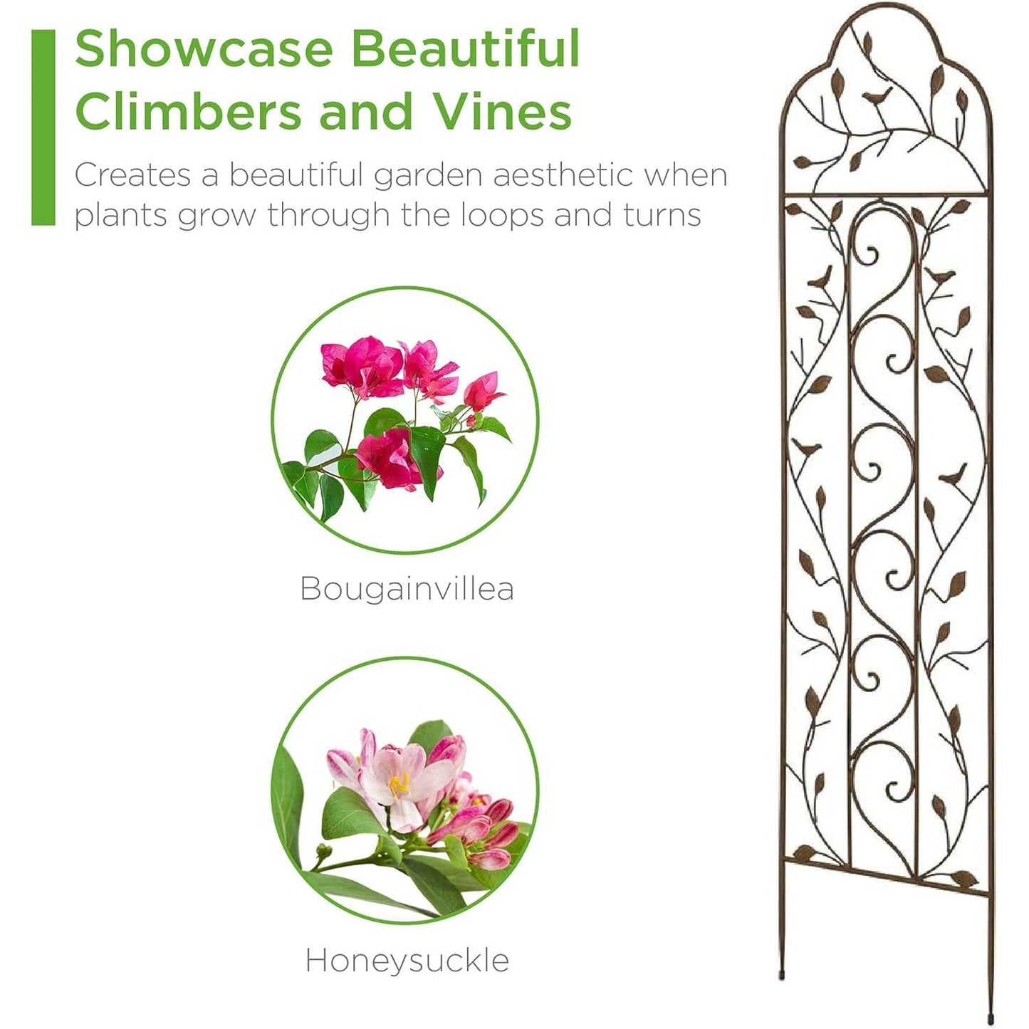 60-inch Tall Outdoor Iron Garden Trellis in Bronze Metal Finish FastFurnishings