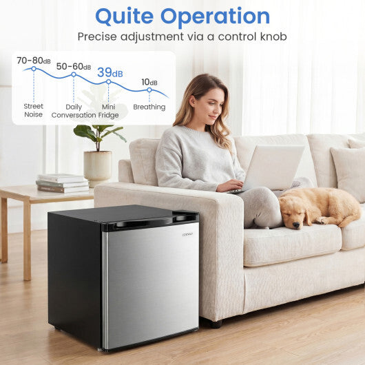 Compact Mini Fridge with 7-Level Adjustable Thermostat-Silver W2B
