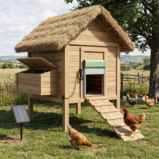 Automatic Chicken Coop Door with Remote Control and Light Sensor Timer W2B
