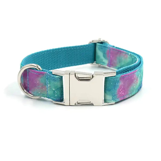 Durable Dog Collar with Traction Belt for Foreign Trade Best YouTube Store
