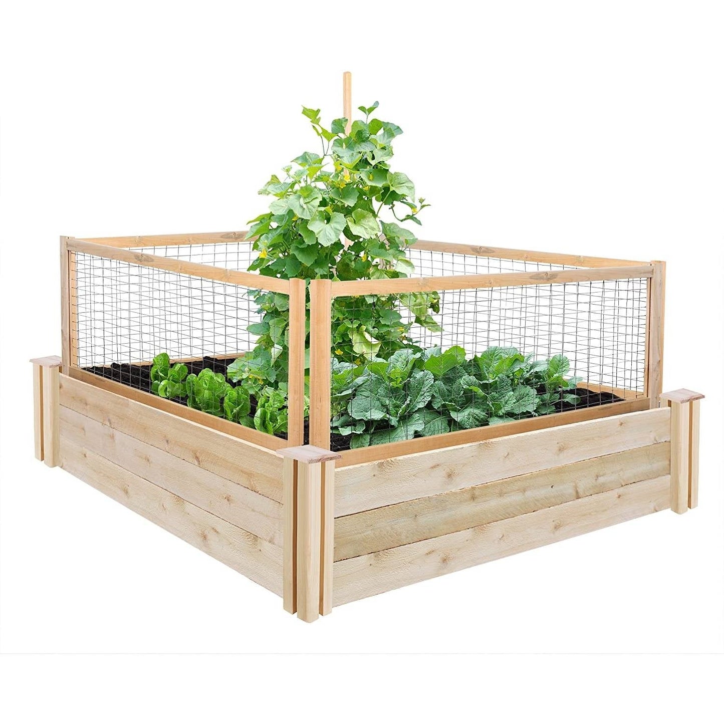 4 Pack Cedar Garden Trellis Set - 45 x 23.5 inch Each - Made in USA FastFurnishings