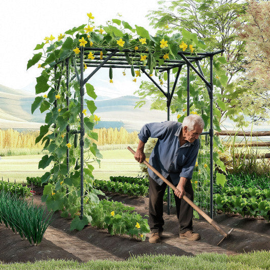Large Garden Arch Trellis for Climbing Plants Outdoor Grape Vine Support-Black W2B