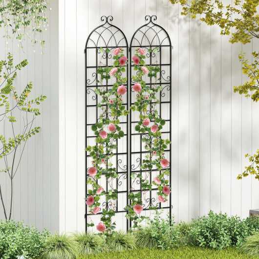 2 Pack 86" x 20" Metal Garden Trellis for Outdoor Climbing Plants W2B