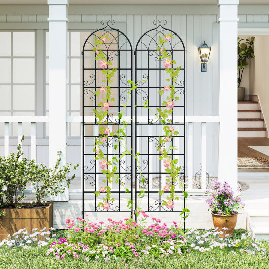 2 Pack 86" x 20" Metal Garden Trellis for Outdoor Climbing Plants W2B
