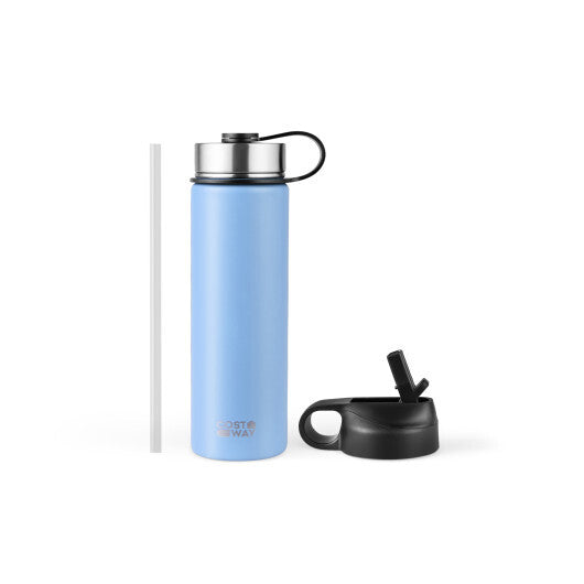 22 Oz Double-walled Insulated Stainless Steel Water Bottle with 2 Lids and Straw-Beige W2B