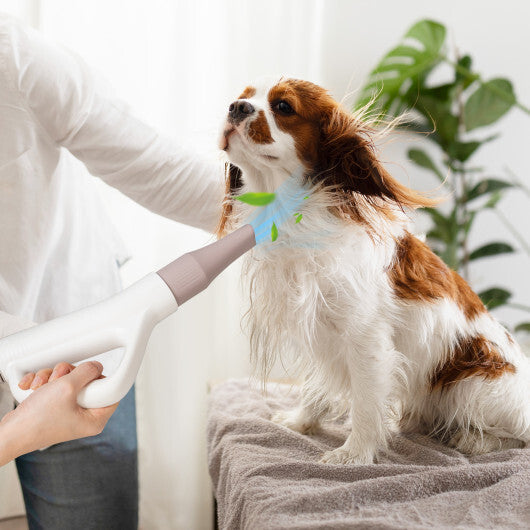Dog Cat Hair Blower with Negative Ion Function and Adjustable Temperature W2B