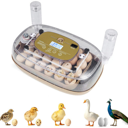 Egg Incubator with Temp and Humidity Control W2B