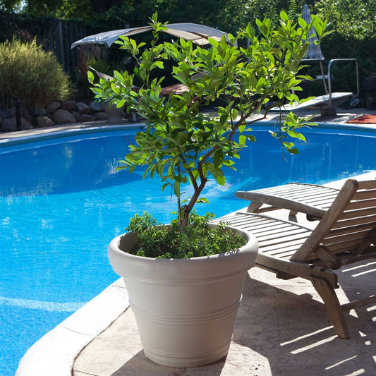 Round 26-inch Outdoor Patio Planter for Small Tree in Weathered Concrete Finish FastFurnishings
