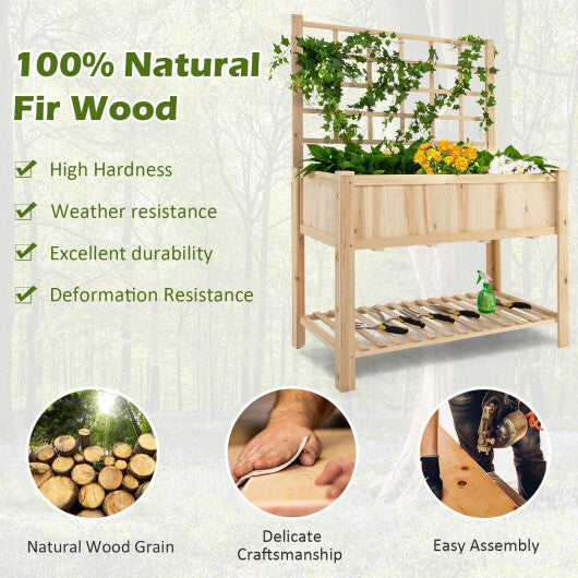 Raised Garden Bed Elevated Wooden Planter Box with Trellis W2B