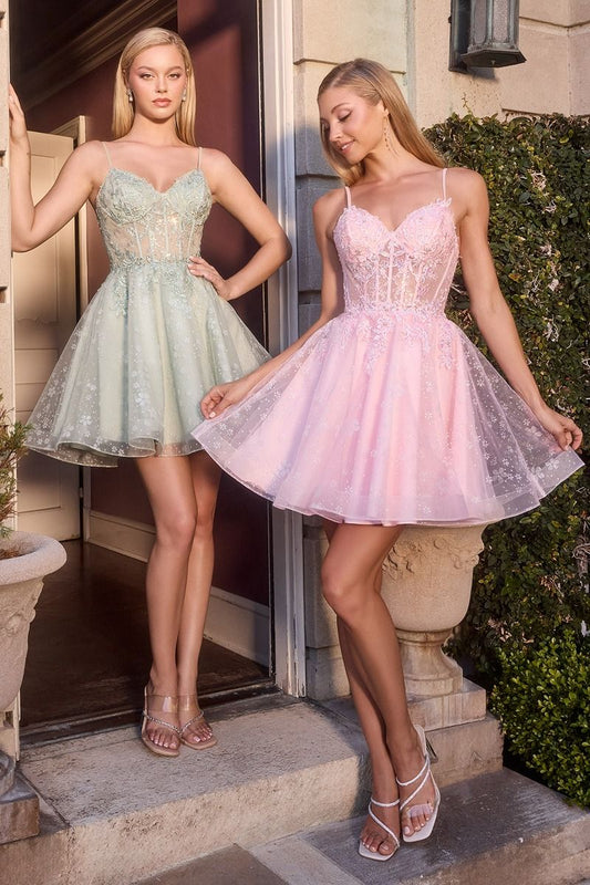 Floral Embroidered Tulle A-Line Mini Dress with Sheer Corset Bodice-1