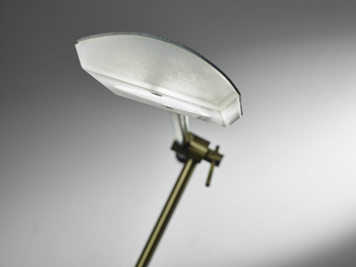 Brass Metal Floor Lamp Adjustable and Dimmable LED
