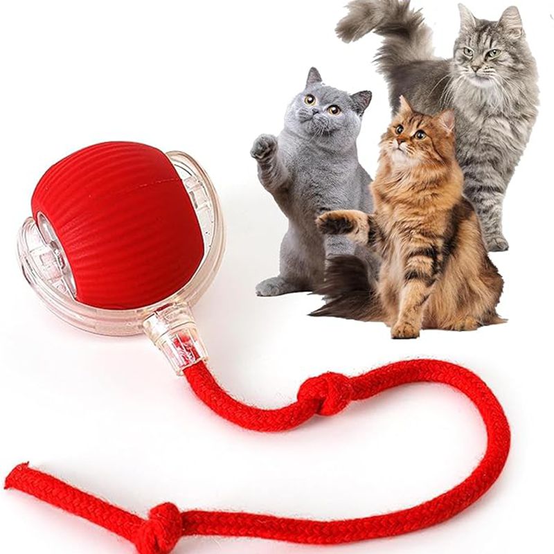 Cat Interactive Ball Toys Automatic Rolling Ball For Kitten Rechargeable Smart Pet Electric Toys With Teaser Sensor Cat Ball Toy Best YouTube Store