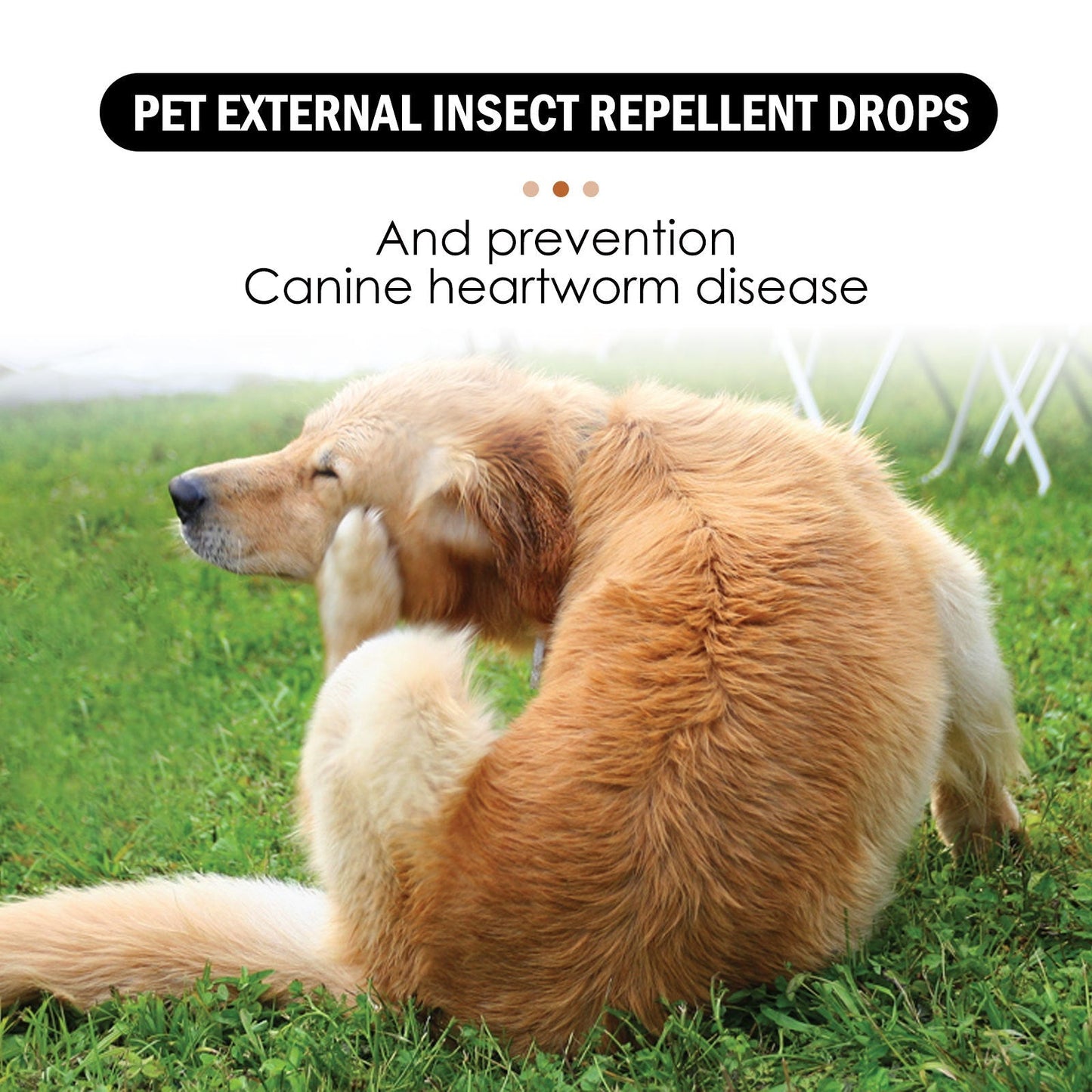Dog Cat Drops Spray Cleaning Remove Lice Tick Flea Best YouTube Store