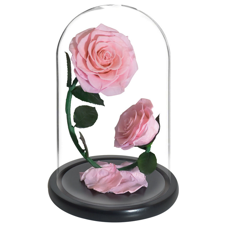 Double Preserved Flower Rose Valentine's Day Gift CJD