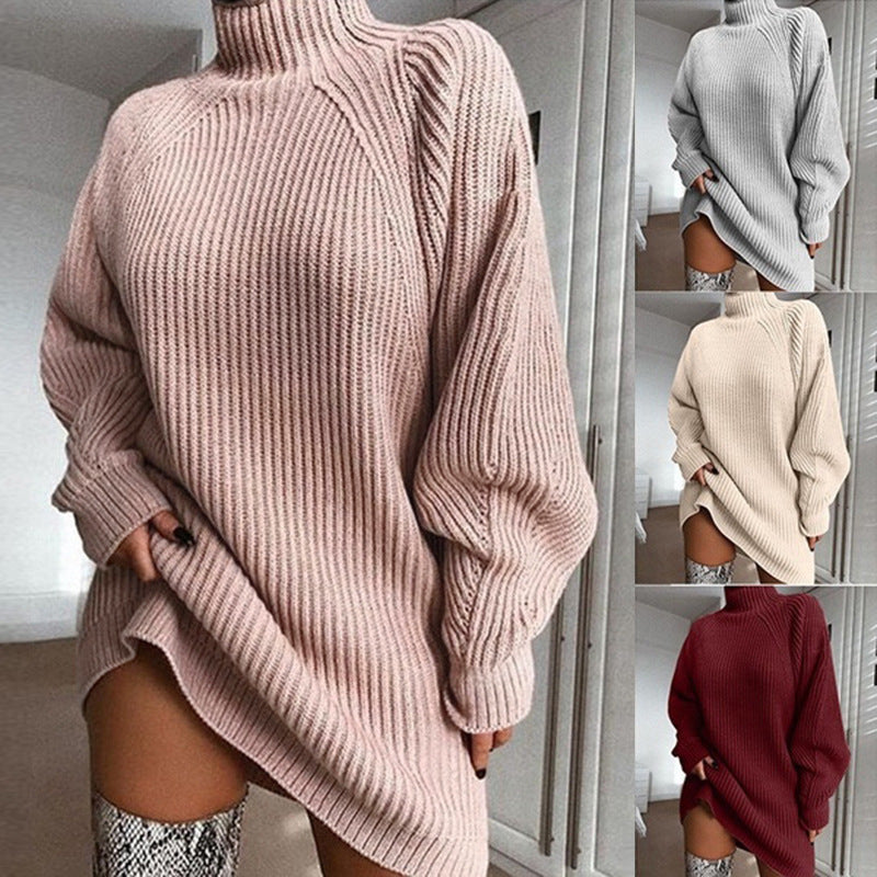 Solid Turtleneck Long Sweater Winter Warm Women Sweater Dress LadyShow.Store