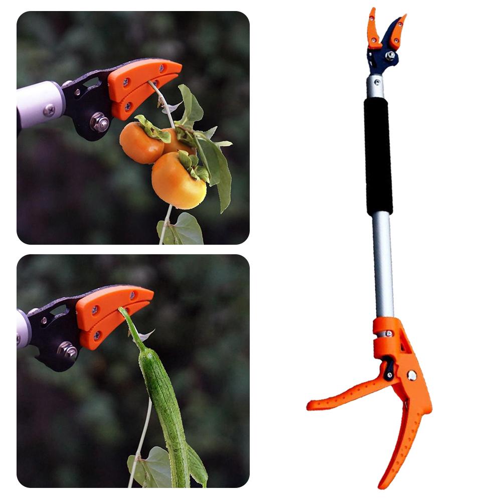 Garden Persimmon Grape Peach Tree Branch Durable Long Shearing Tool