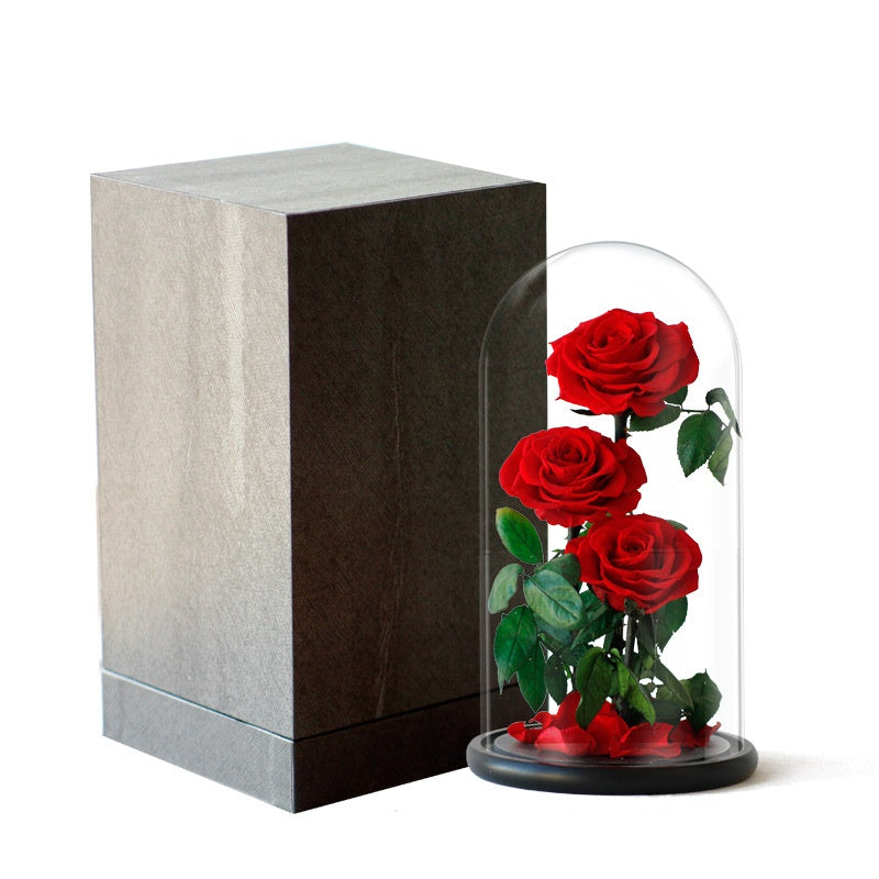 Double Preserved Flower Rose Valentine's Day Gift CJD