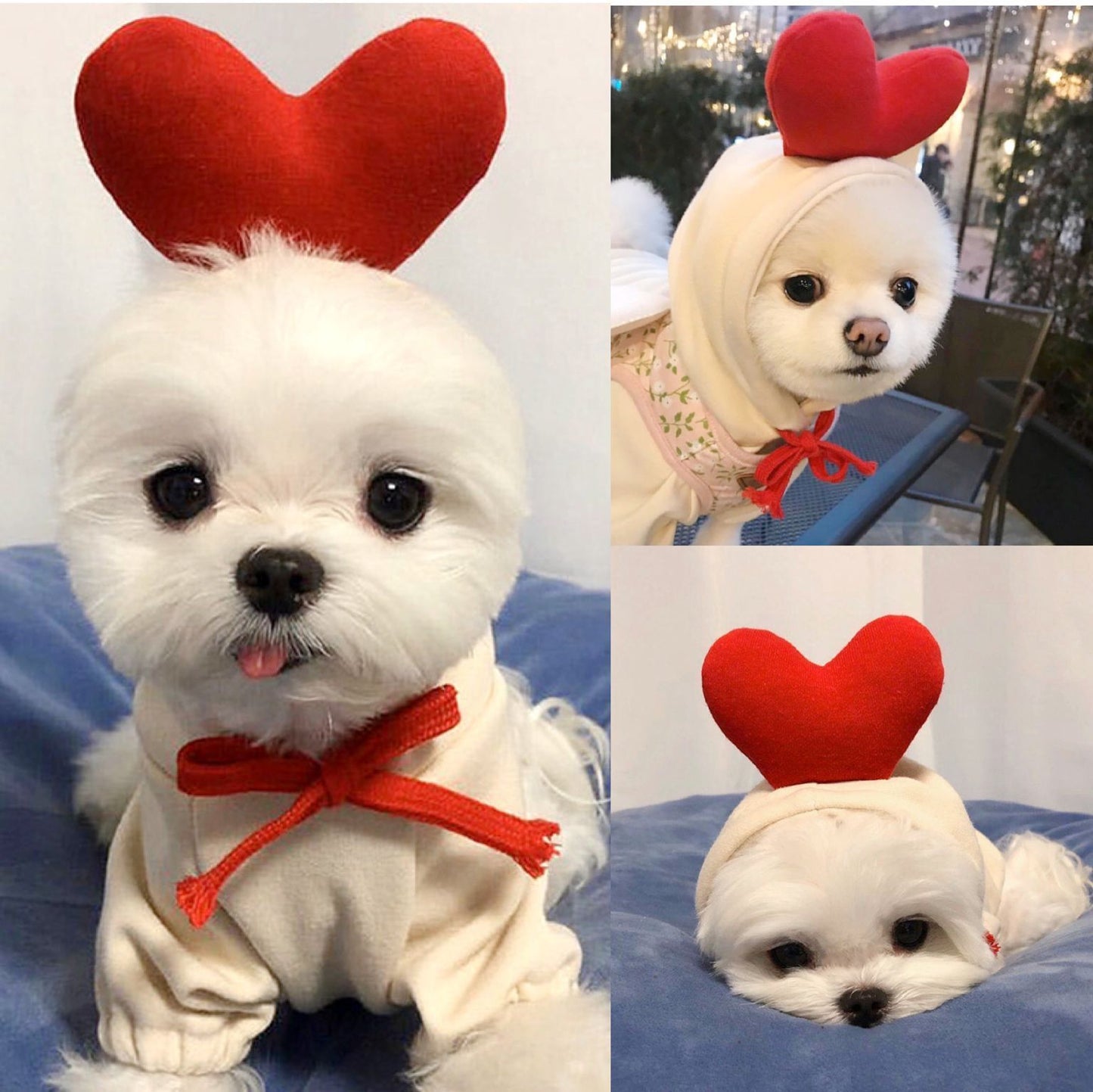 Cute Fruit Dog Clothes For Small Dogs Hoodies Winter Warm Fleece Pet Clothing Puppy Cat Costume Coat For French Chihuahua Outfit Best YouTube Store