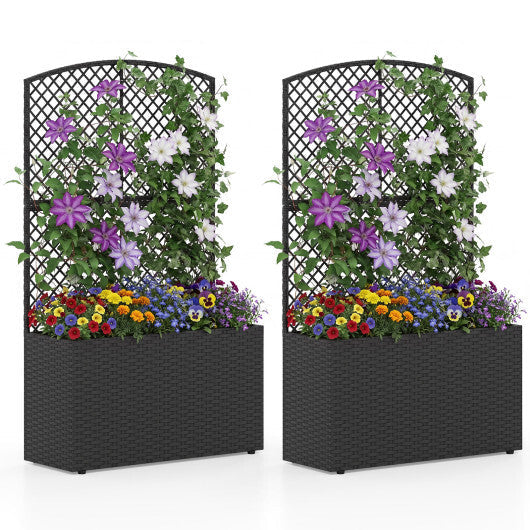 Set of 2 49 Inch Raised Garden Bed with Trellis and Wicker Planter Box-Black W2B