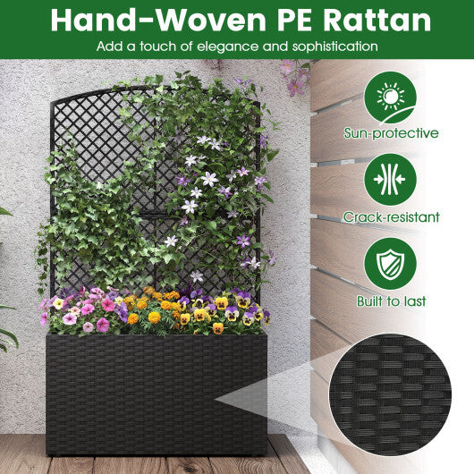 Set of 2 49 Inch Raised Garden Bed with Trellis and Wicker Planter Box-Black W2B