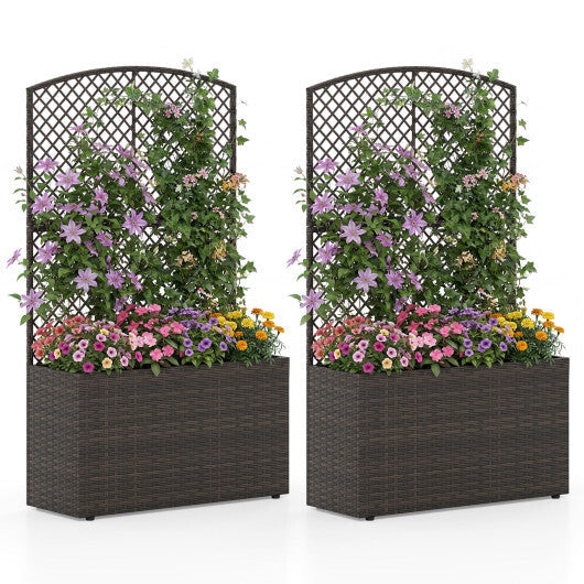 Set of 2 49 Inch Raised Garden Bed with Trellis and Wicker Planter Box-Black W2B