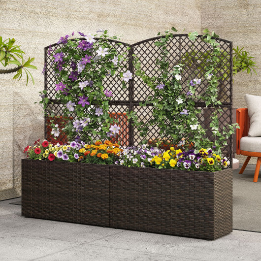 Set of 2 49 Inch Raised Garden Bed with Trellis and Wicker Planter Box-Black W2B