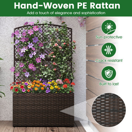 Set of 2 49 Inch Raised Garden Bed with Trellis and Wicker Planter Box-Black W2B