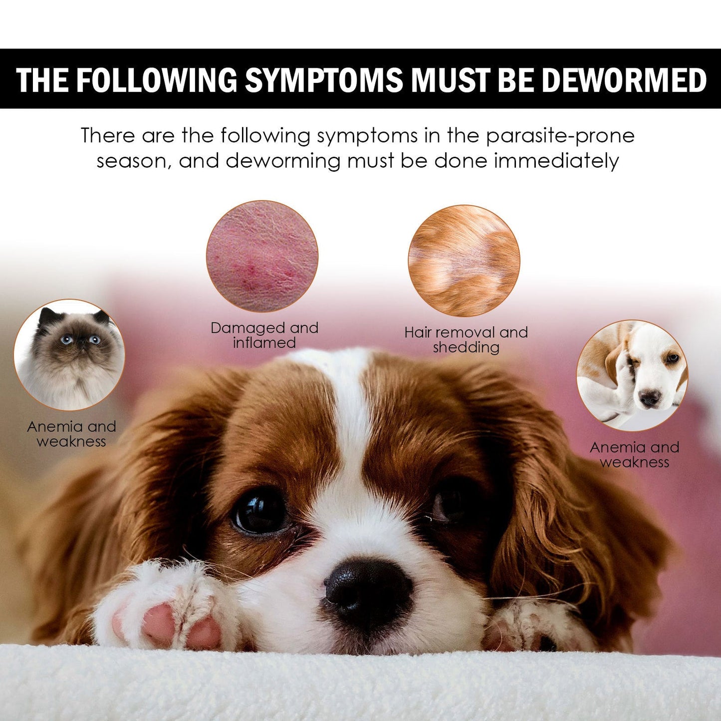 Dog Cat Drops Spray Cleaning Remove Lice Tick Flea LadyShow.Store