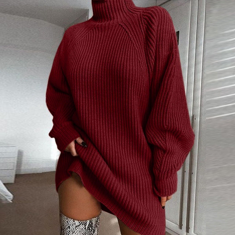 Solid Turtleneck Long Sweater Winter Warm Women Sweater Dress LadyShow.Store