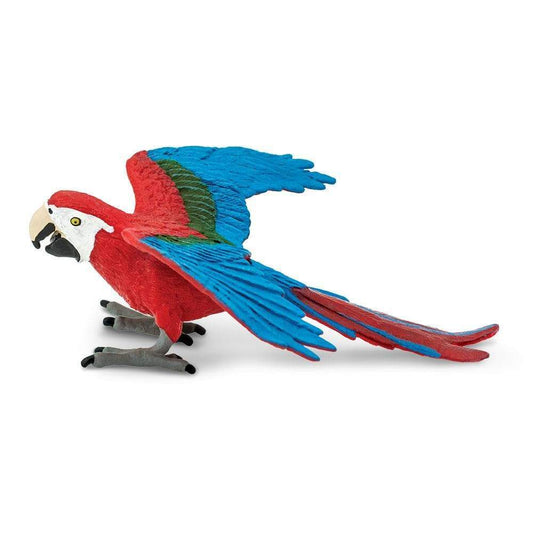 Green-winged Macaw Toy-0