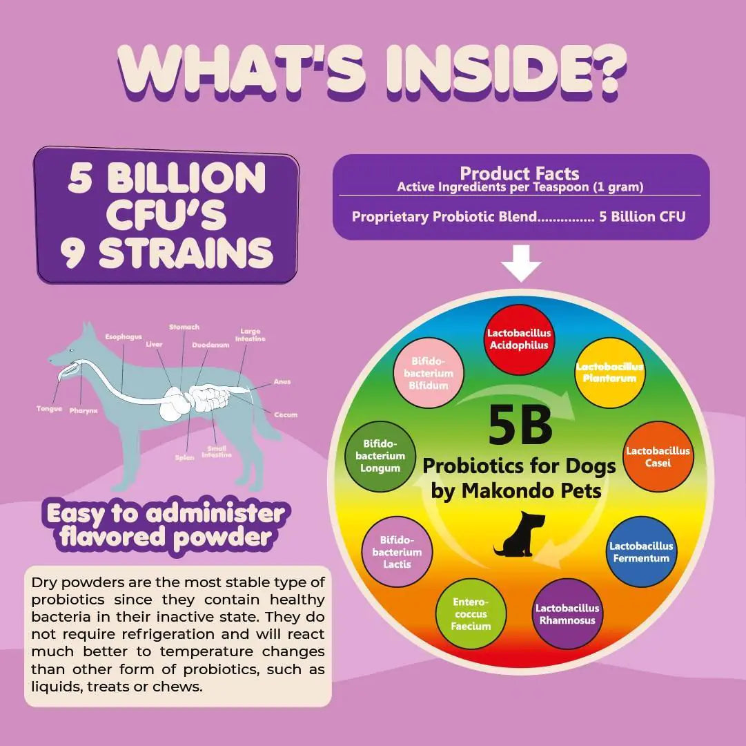 Probiotics for Dogs Puppies Extra Strength 9 Species 5 Billion CFU per Scoop of Best YouTube Store
