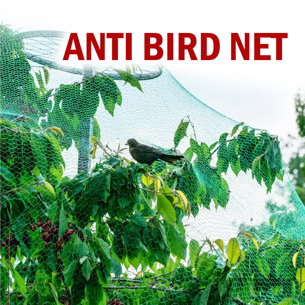 33FT Anti Bird Netting Pond Net Protection Tree Crops Plants Fruits Garden Mesh