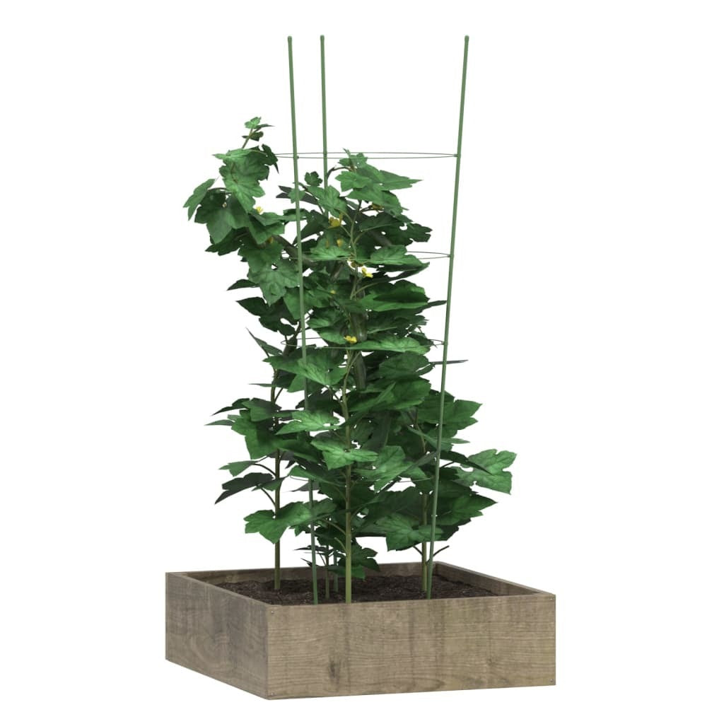Garden Plant Supports with 4 Rings 5 pcs Green 35.4" Steel W2B