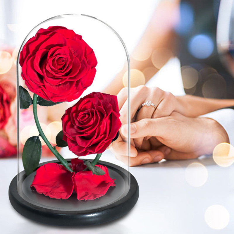 Double Preserved Flower Rose Valentine's Day Gift CJD
