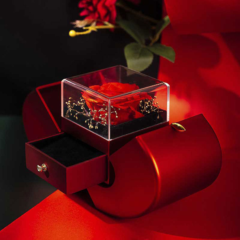 Niche Mother's Day Gift Clavicle Chain Apple Box Set CJD
