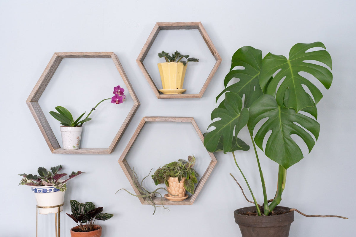 Set Of 3 Hexagon Rustic Natural Weathered Grey Wood Open Box Shelve W2B