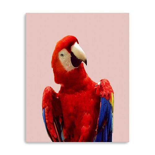 Vibrant And Vivid Bird Unframed Print Wall Art W2B