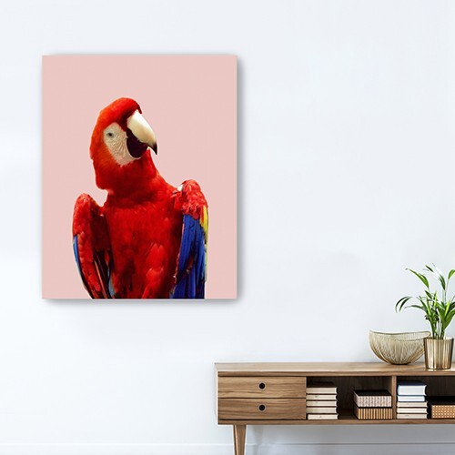 Vibrant And Vivid Bird Unframed Print Wall Art W2B