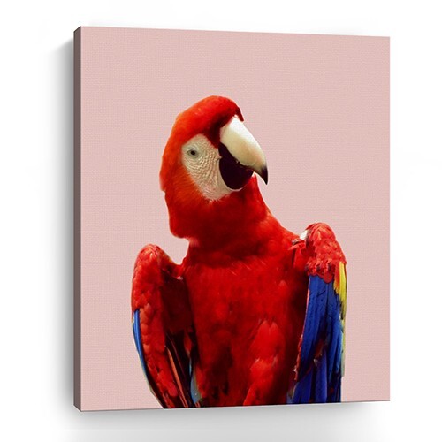 Vibrant And Vivid Bird Unframed Print Wall Art W2B