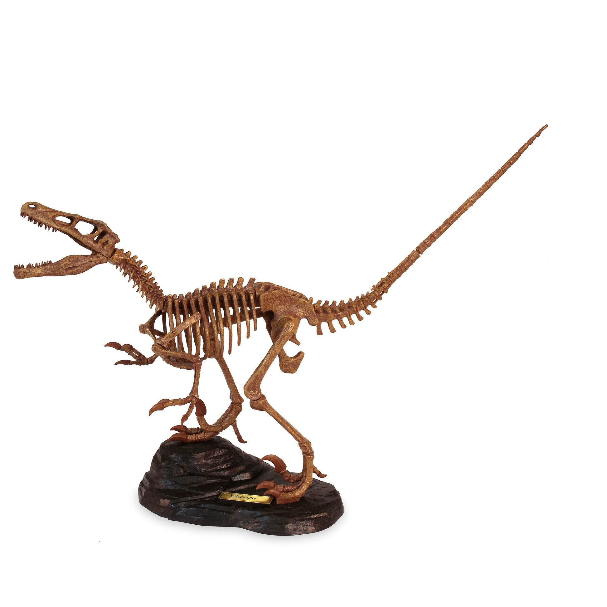 Dr. Steve Hunters GEOWorld Dino Dig Velociraptor Excavation Kit-1