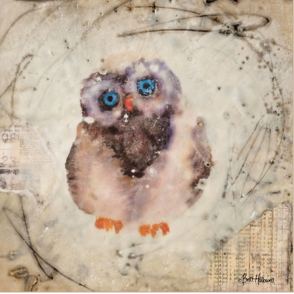 Set Of Two Wonder Years Owls 1 White Framed Print Wall Art W2B