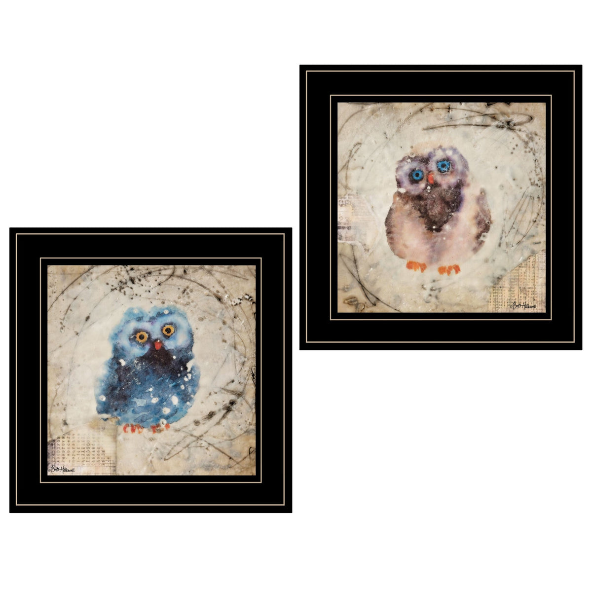 Set Of Two Wonder Years Owls Black Framed Print Wall Art W2B