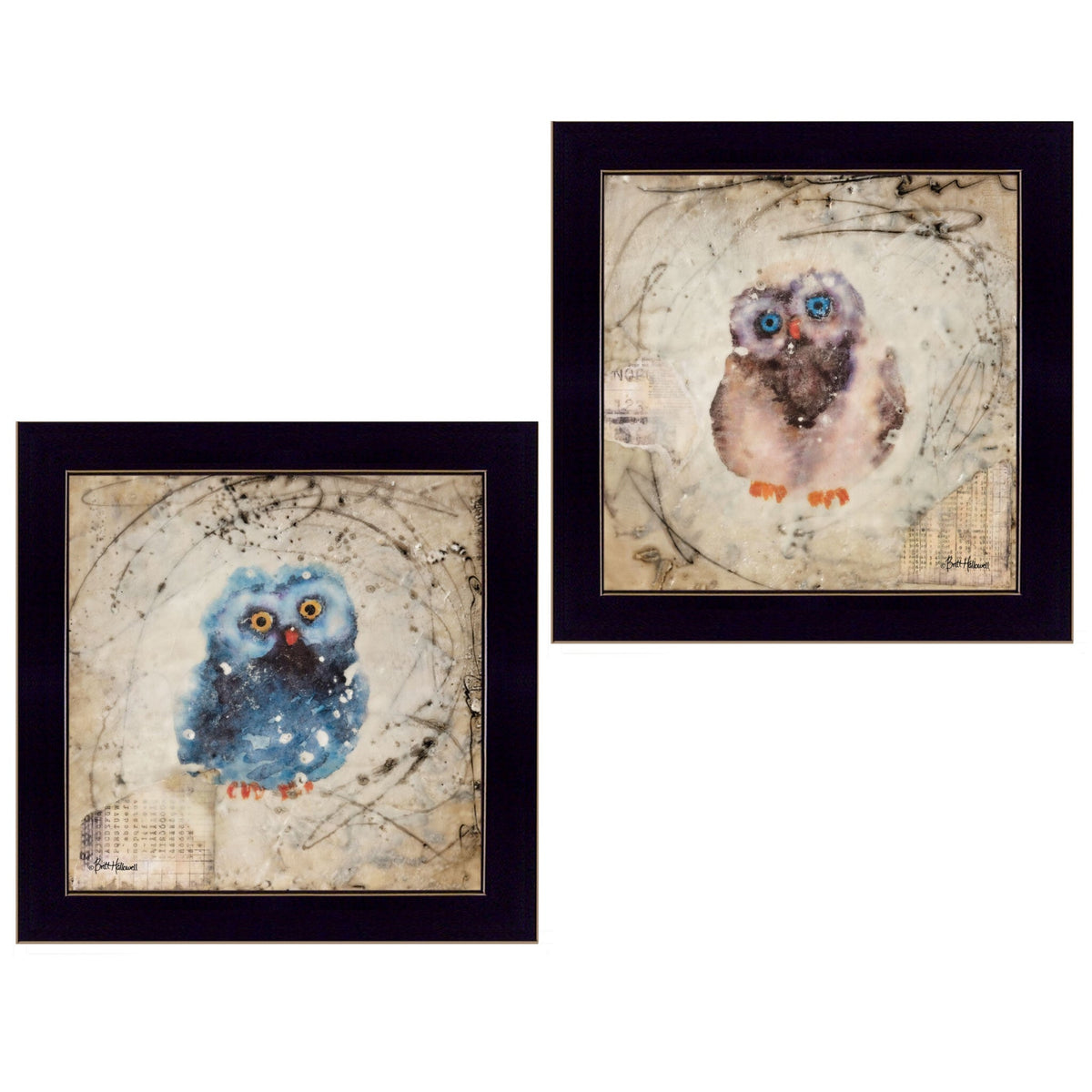 Set Of Two Wonder Years Owls Black Framed Print Wall Art W2B