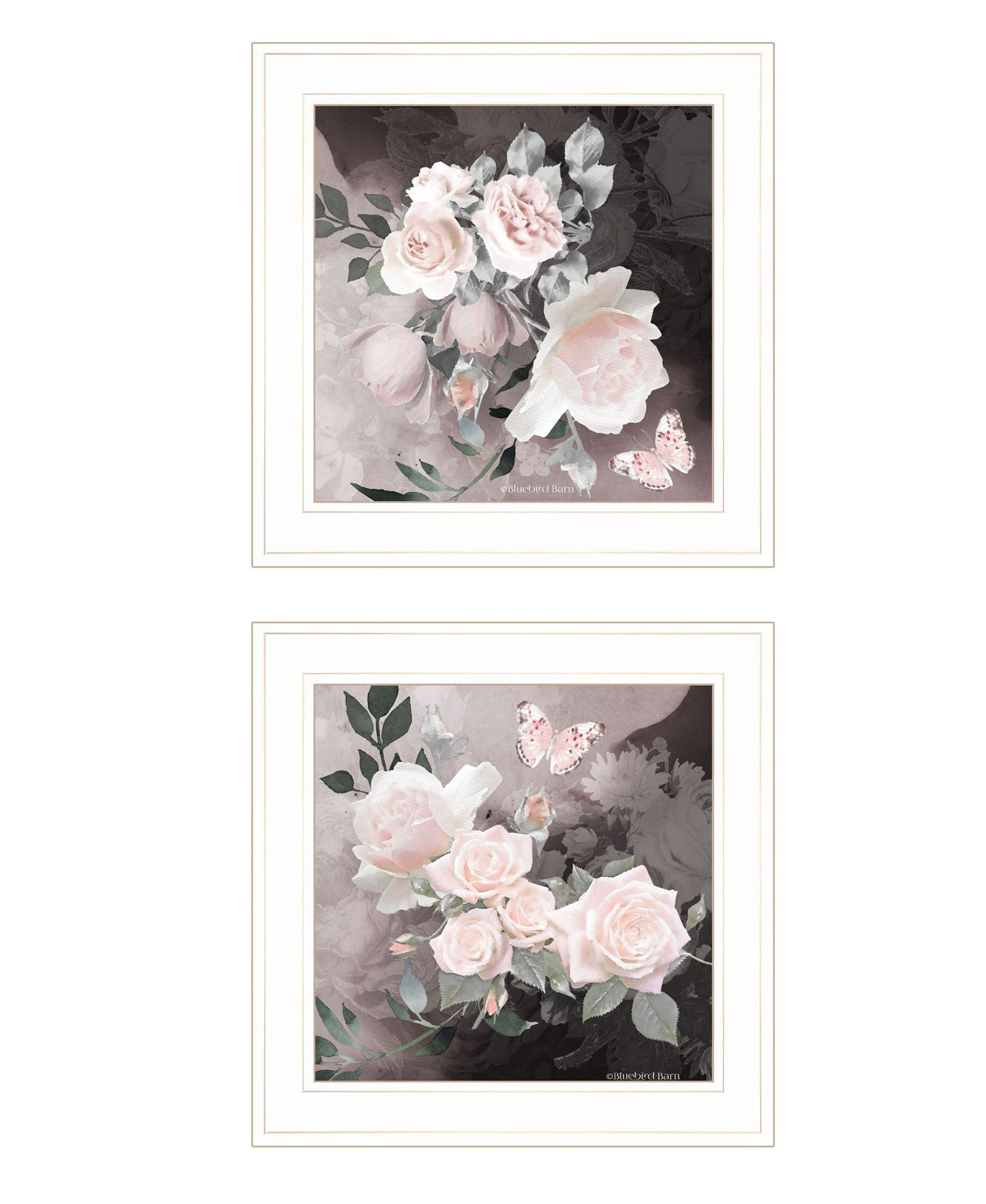 Set Of Two Noir Roses 1 White Framed Print Wall Art W2B