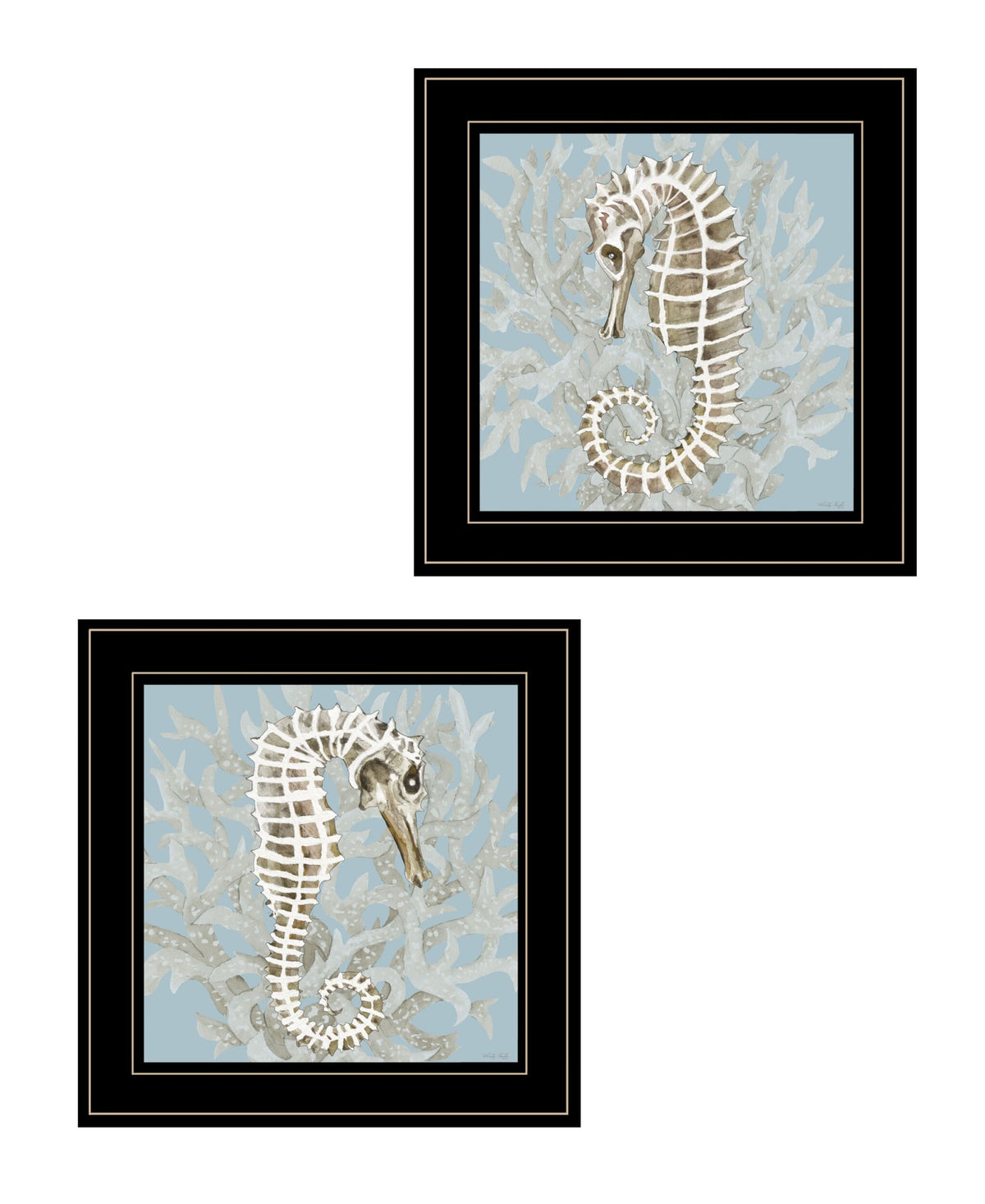 Set Of Two Coral Seahorse 1 Black Framed Print Wall Art W2B