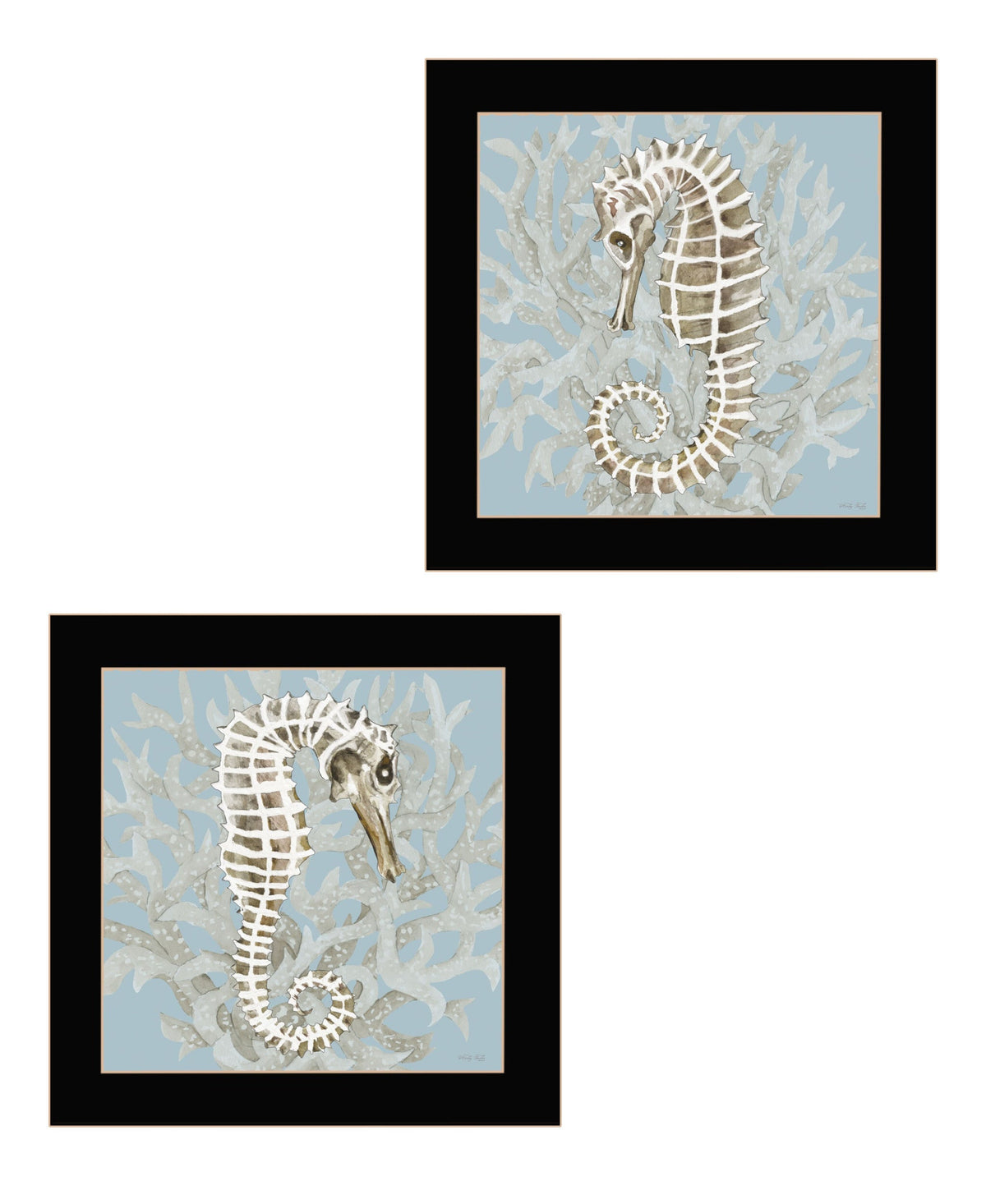 Set Of Two Coral Seahorse Black Framed Print Wall Art W2B