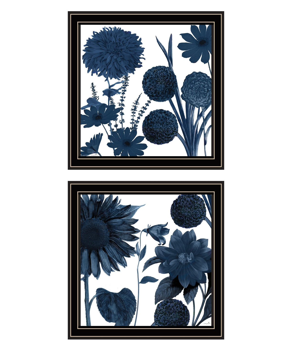Set Of Two Sunflower Blues 1 Black Framed Print Wall Art W2B